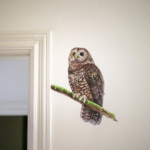 Northern Spotted Owl Wall Decal