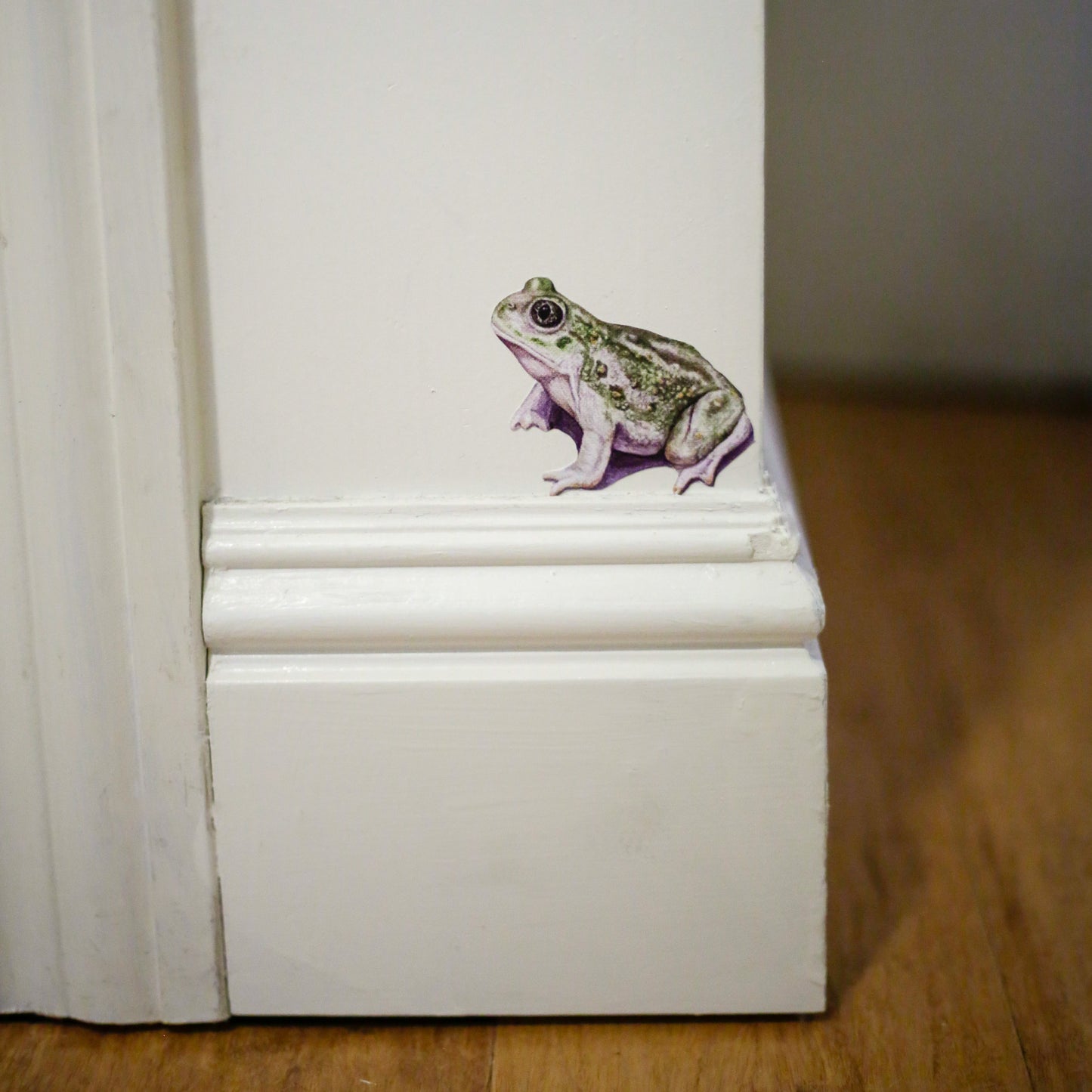 Realistic Spadefoot Toad on a white wall sitting above a baseboard.