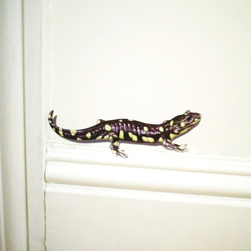Load image 1 in gallery view. Realistic California Tiger Salamander against white wall standing on top of baseboard.