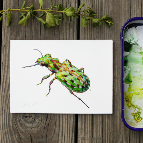 Load image 1 in gallery view. Delta Green Ground Beetle 5x7 Print - Native California Wildlife, Beetle Print, Endangered Species