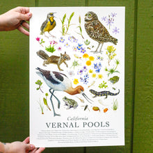 California Vernal Pools Poster