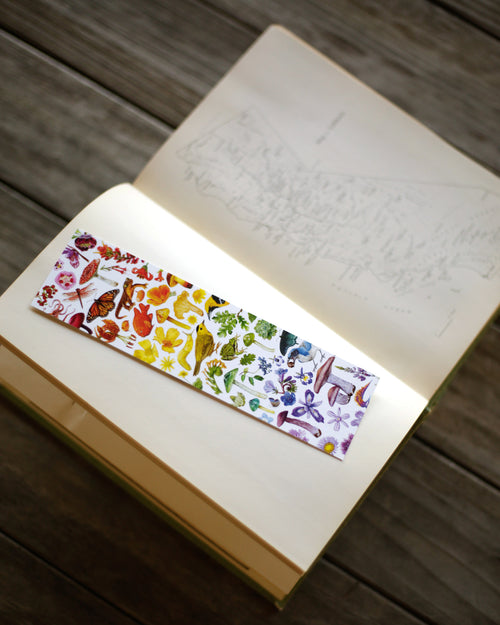 Load image 1 in gallery view. Bookmark of various California plants and animals arranged in rainbow colors. 