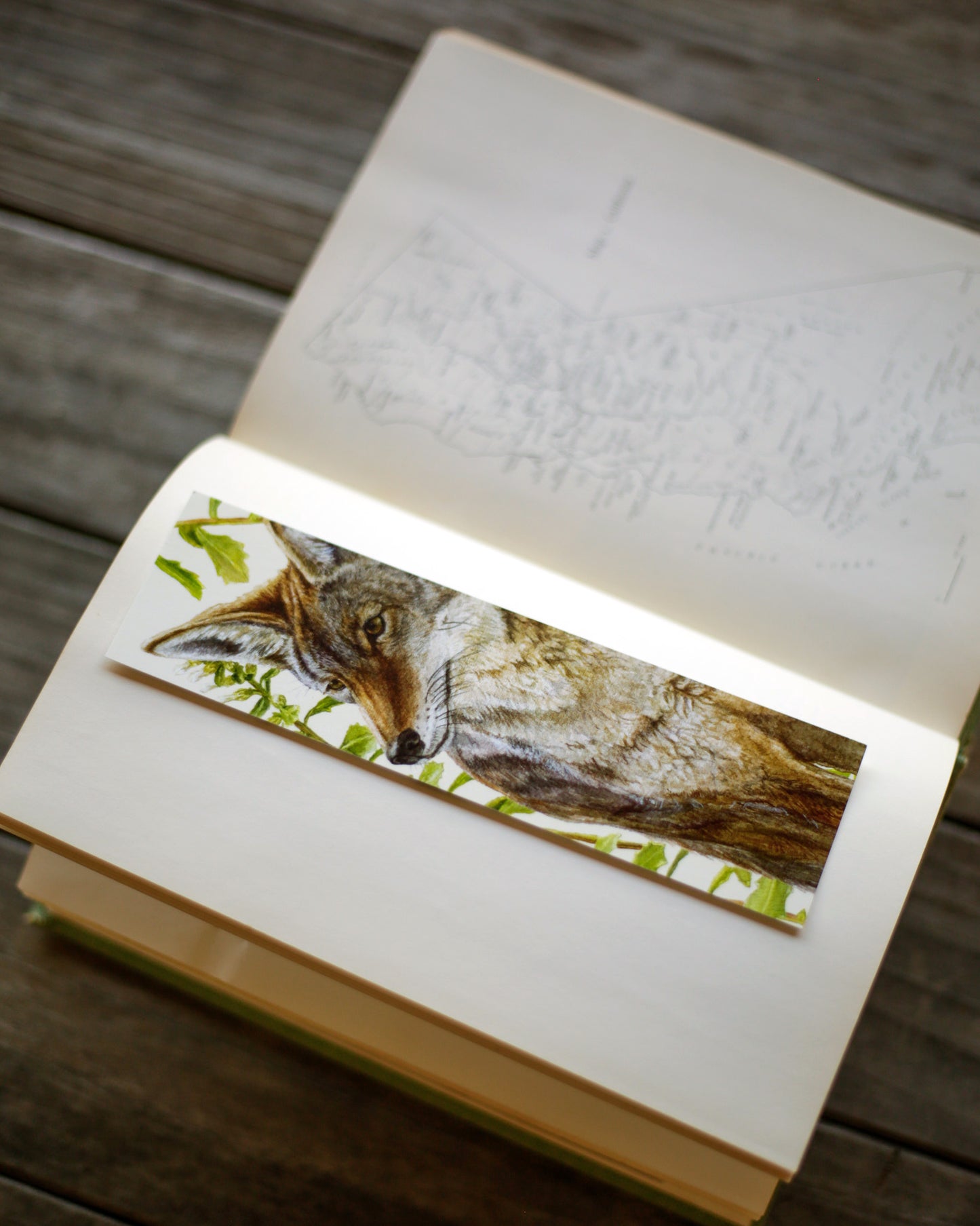 Bookmark with front profile of a coyote in front of coyote brush stems. 