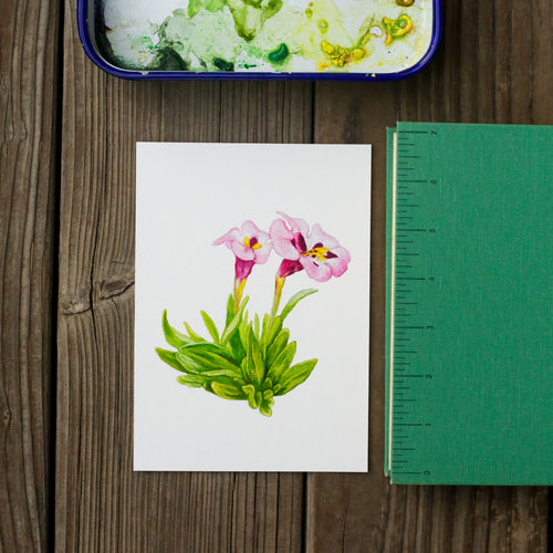 Load image 1 in gallery view. Vernal Pool Monkeyflower 5x7 Print - California Native Plant, Flower Print