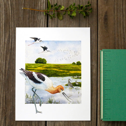 Load image 1 in gallery view. Vernal Pool Birds 8x10 Print - Native California Wildlife, Bird Print