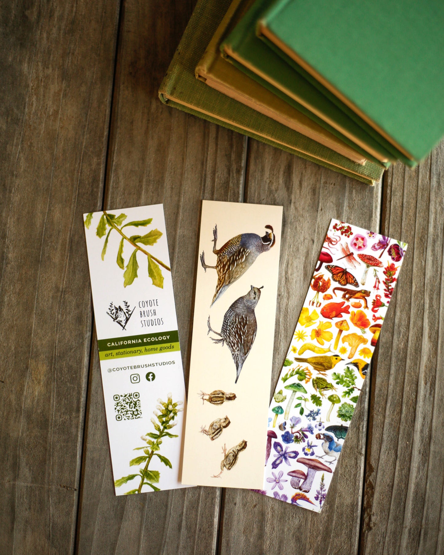 Three bookmarks one showing the back of the bookmark with store information, one with quail covey, and one California diversity.