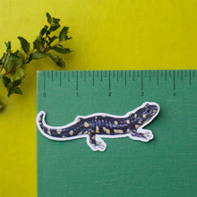 Vernal Pool Amphibians: Three Vinyl Stickers, California Tiger Salamander, Western Spadefoot, Sierran Chorus Frog