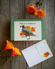 Hello From California Poppy and Quail Postcard