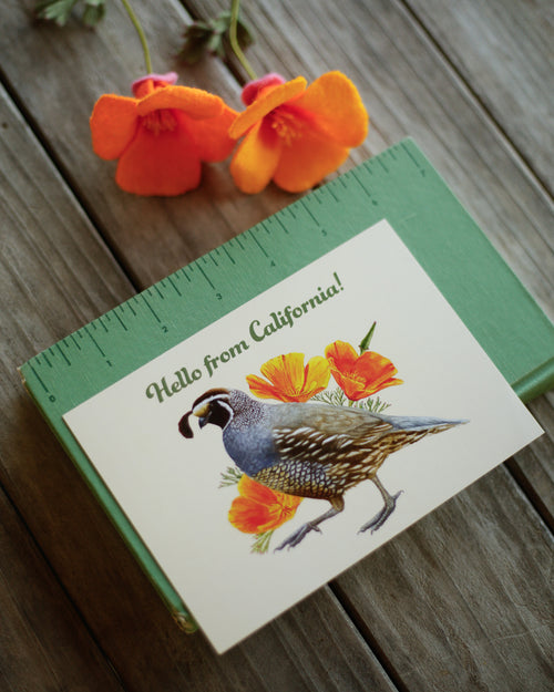 Load image 1 in gallery view. Hello From California Poppy and Quail Postcard