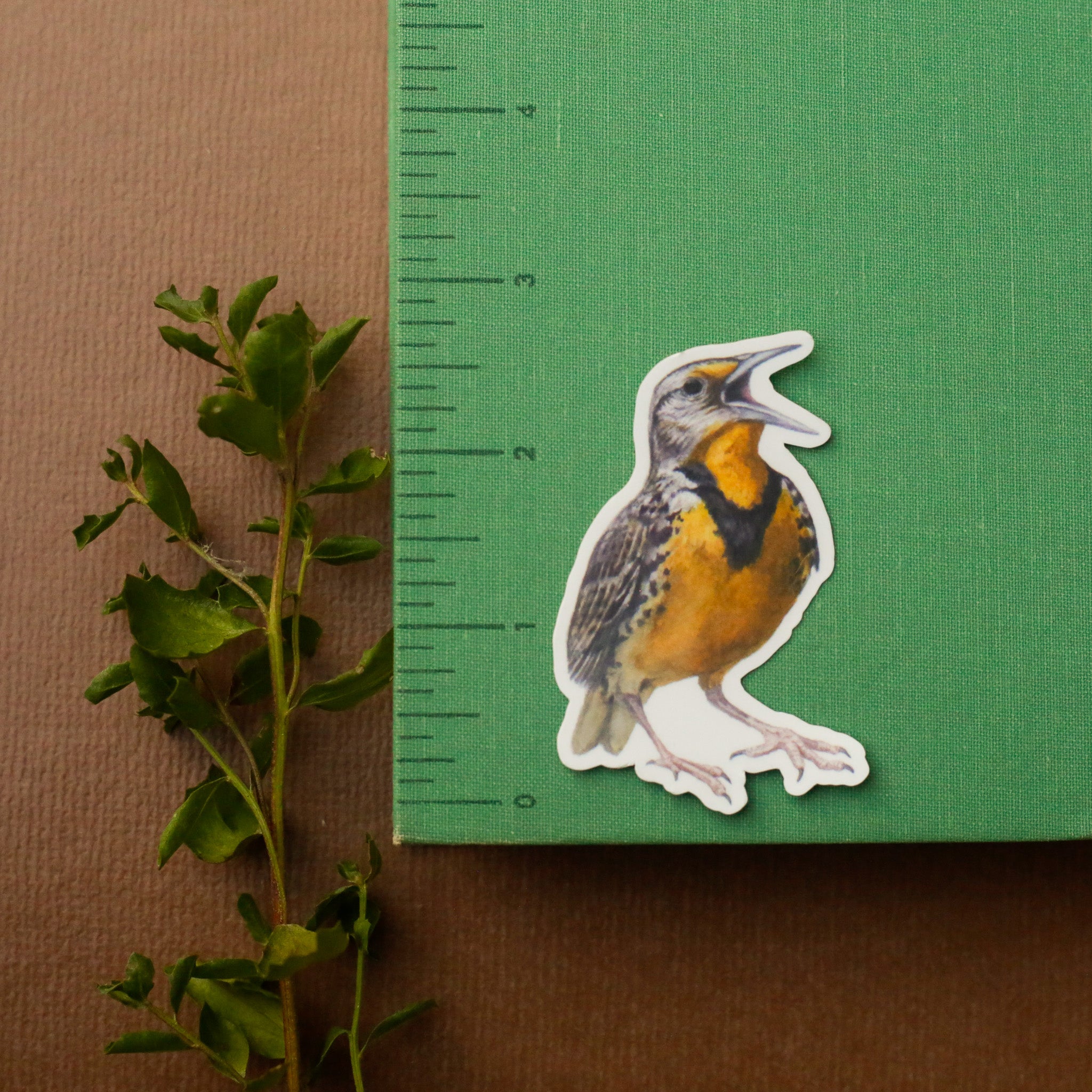 Prairie Fence Birds Vinyl Stickers: Western Meadowlark, American Kestrel, Loggerhead Shrike