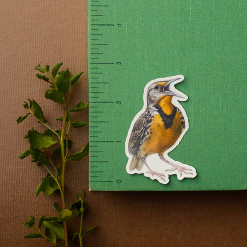 Load image 1 in gallery view. Prairie Fence Birds Vinyl Stickers: Western Meadowlark, American Kestrel, Loggerhead Shrike