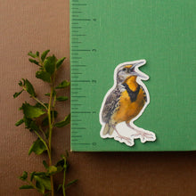 Prairie Fence Birds: Three Vinyl Stickers, Western Meadowlark, American Kestrel, Loggerhead Shrike