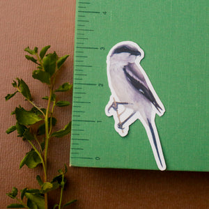 Prairie Fence Birds: Three Vinyl Stickers, Western Meadowlark, American Kestrel, Loggerhead Shrike