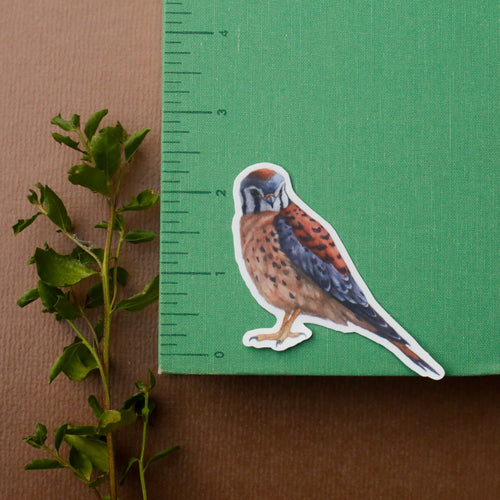 Load image 1 in gallery view. Prairie Fence Birds Vinyl Stickers: Western Meadowlark, American Kestrel, Loggerhead Shrike