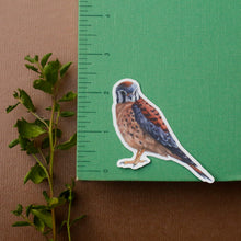 Prairie Fence Birds: Three Vinyl Stickers, Western Meadowlark, American Kestrel, Loggerhead Shrike