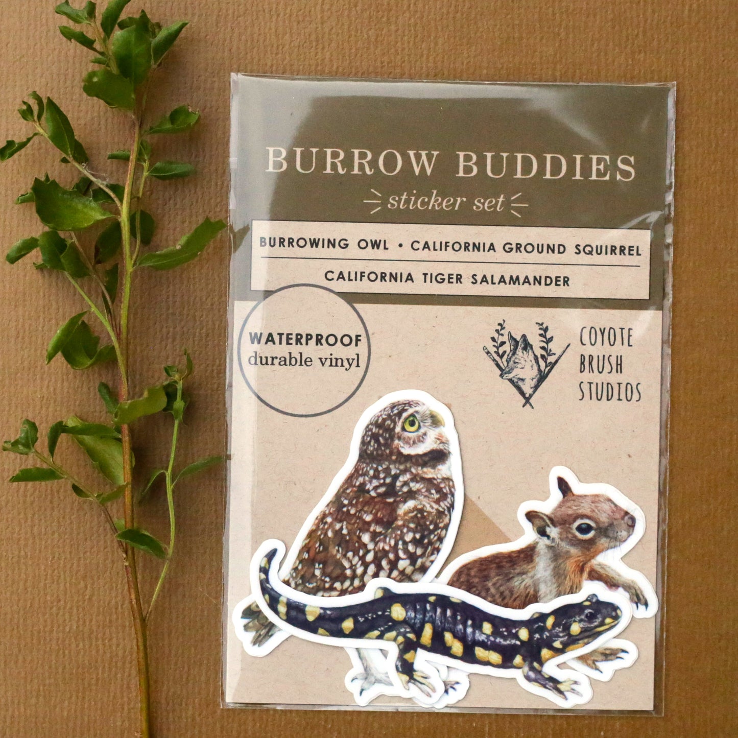 Burrow Buddies Vinyl Stickers: CA Tiger Salamander, Burrowing Owl, Ground Squirrel