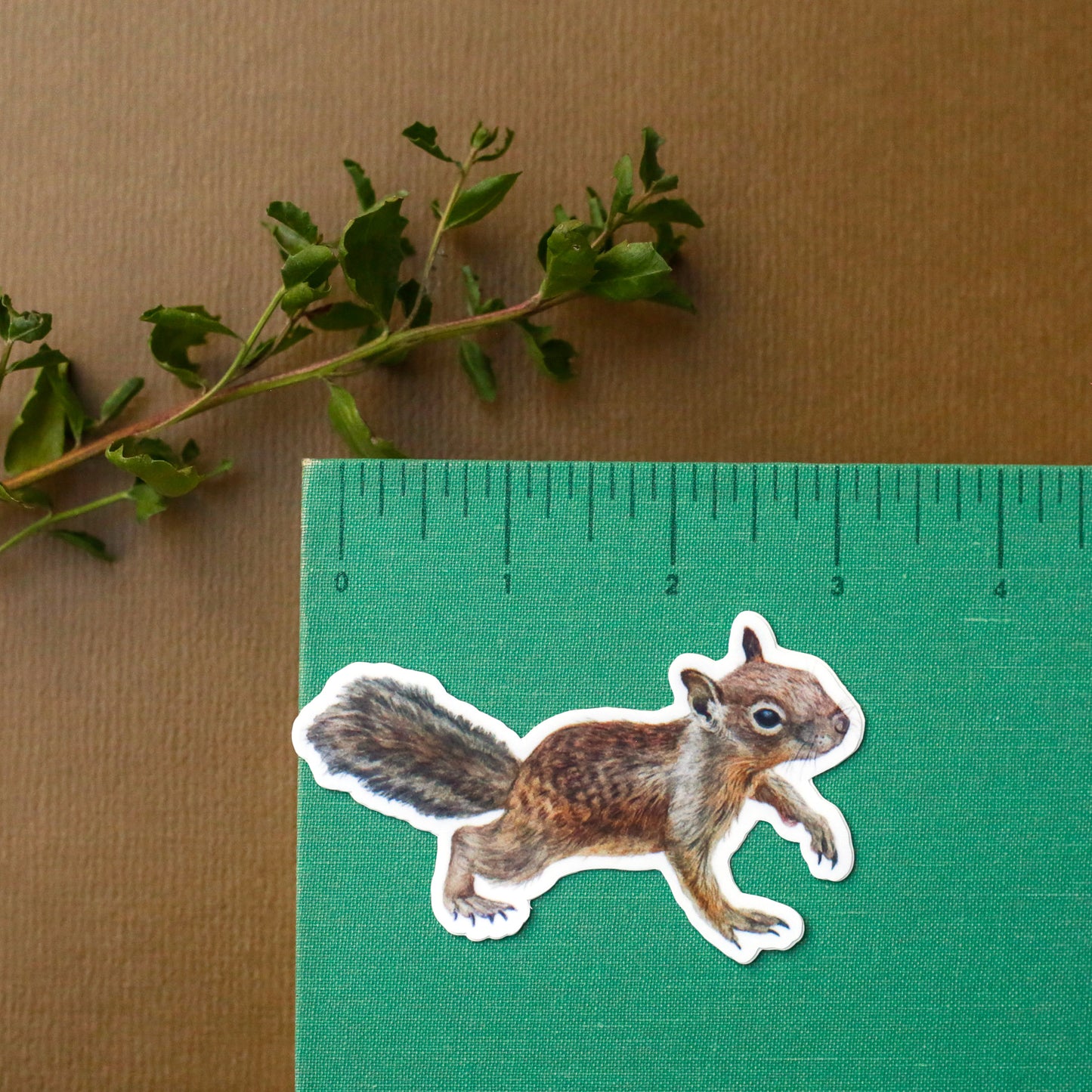 Burrow Buddies Vinyl Stickers: CA Tiger Salamander, Burrowing Owl, Ground Squirrel
