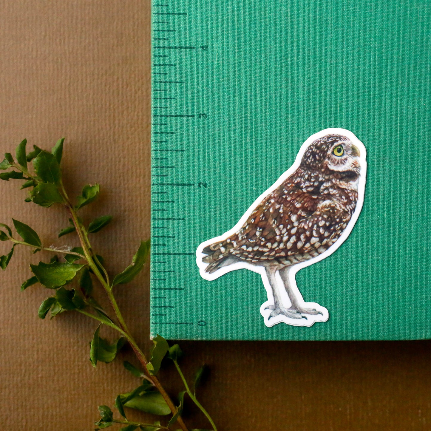 Burrow Buddies Vinyl Stickers: CA Tiger Salamander, Burrowing Owl, Ground Squirrel