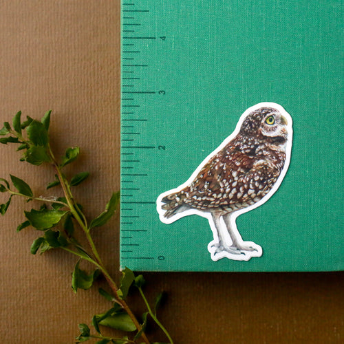 Load image 1 in gallery view. Burrow Buddies Vinyl Stickers: CA Tiger Salamander, Burrowing Owl, Ground Squirrel