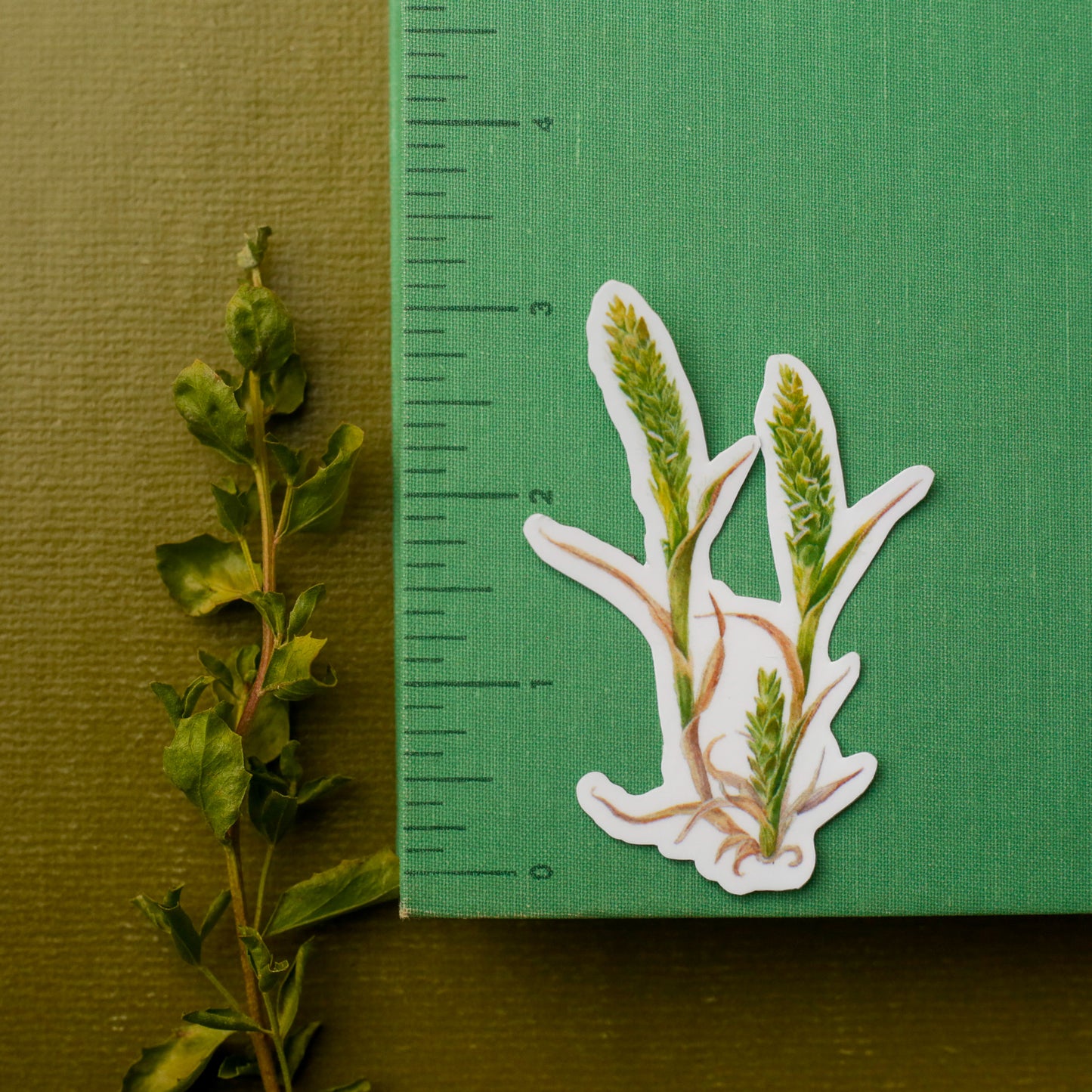 Vernal Pool Endangered Species Vinyl Stickers: Fairy Shrimp, Delta Green Ground Beetle, Solano Grass
