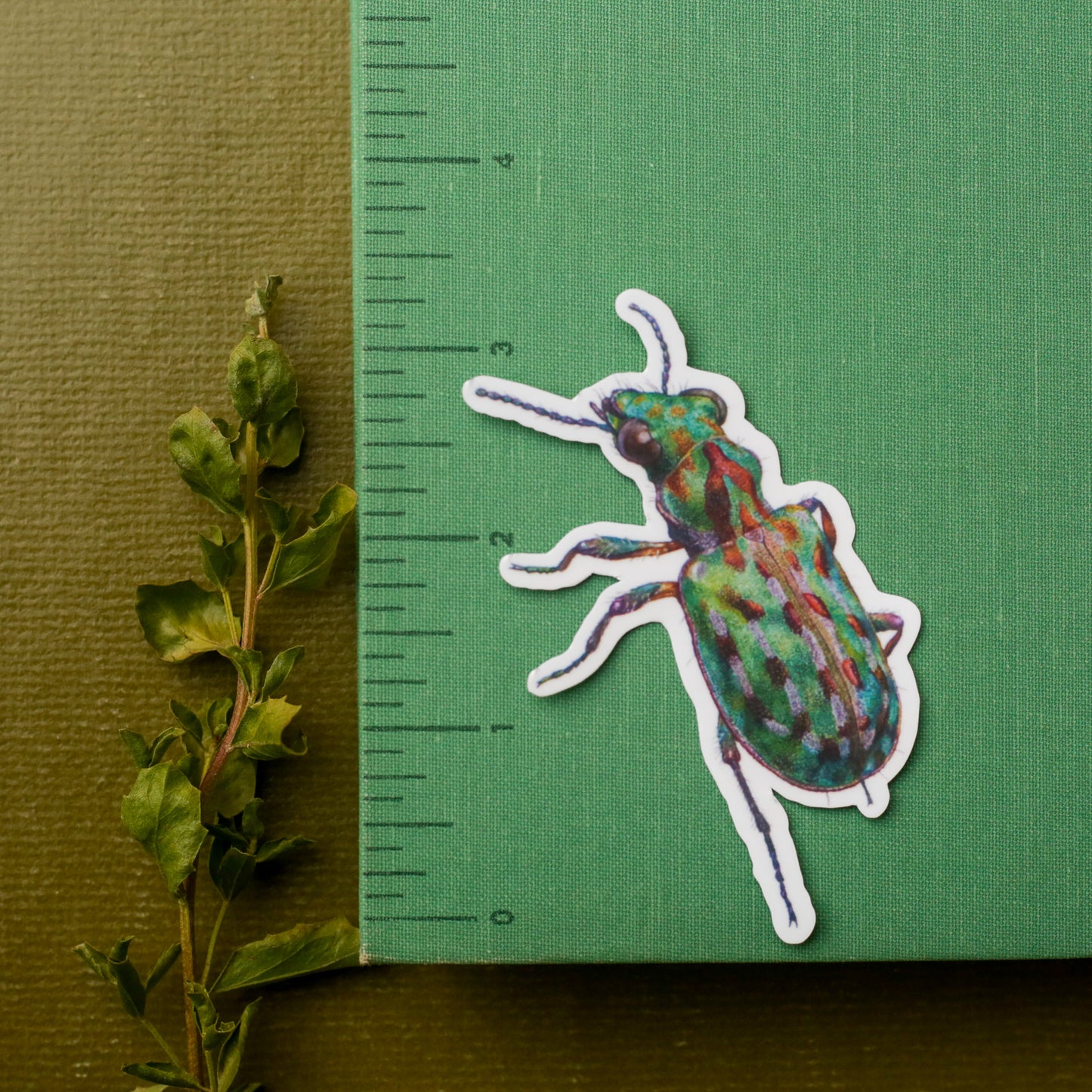Vernal Pool Endangered Species Vinyl Stickers: Fairy Shrimp, Delta Green Ground Beetle, Solano Grass