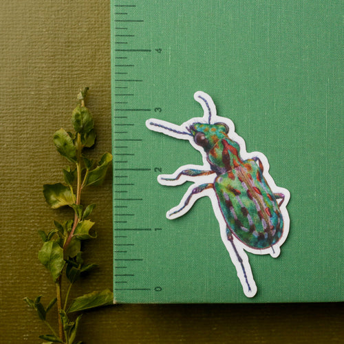 Load image 1 in gallery view. Vernal Pool Endangered Species Vinyl Stickers: Fairy Shrimp, Delta Green Ground Beetle, Solano Grass