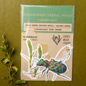 Vernal Pool Endangered Species, Three Vinyl Stickers: Fairy Shrimp, Delta Green Ground Beetle, Solano Grass