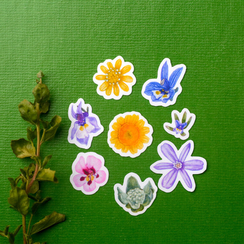 Load image 1 in gallery view. Vernal Pool Flora Vinyl Stickers: Downingia, Goldfield, Monkeyflower, Stickyseed, Woolly Marble, Brodiaea