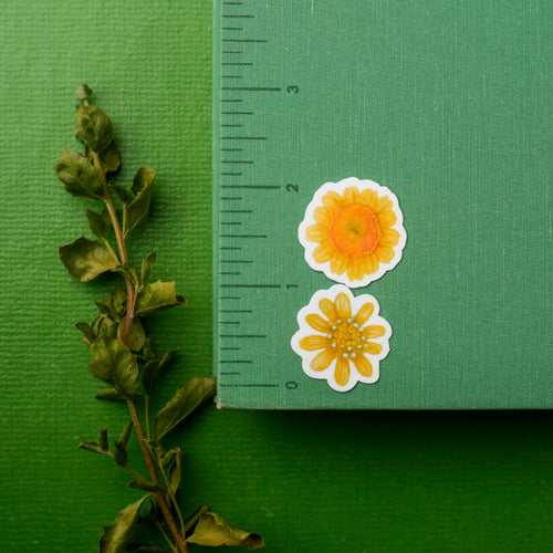 Load image 1 in gallery view. Vernal Pool Flora Vinyl Stickers: Downingia, Goldfield, Monkeyflower, Stickyseed, Woolly Marble, Brodiaea