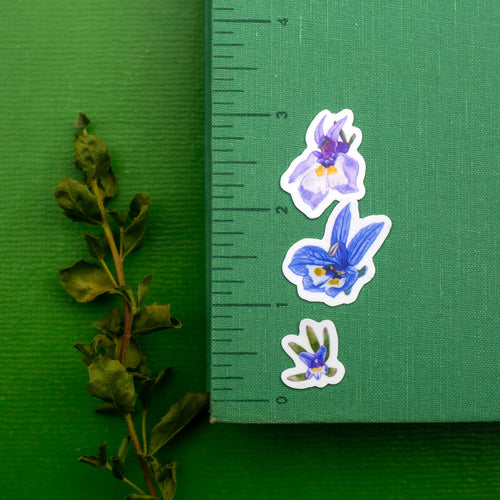 Load image 1 in gallery view. Vernal Pool Flora Vinyl Stickers: Downingia, Goldfield, Monkeyflower, Stickyseed, Woolly Marble, Brodiaea