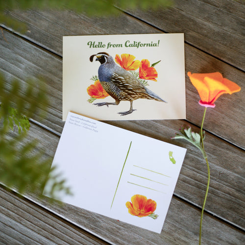 Load image 1 in gallery view. Hello From California Poppy and Quail Postcard