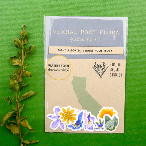 Load image 1 in gallery view. Vernal Pool Flora Vinyl Stickers: Downingia, Goldfield, Monkeyflower, Stickyseed, Woolly Marble, Brodiaea