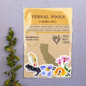 Vernal Pool, Six Vinyl Stickers: Goldfield, Downingia, Monkeyflower, California Tiger Salamander, Bee, Fairy Shrimp