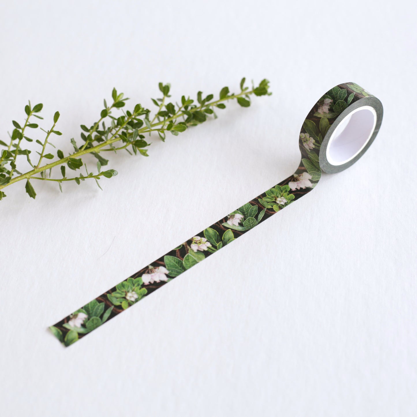 Partially unrolled deep green tape with manzanitas printed on it. 