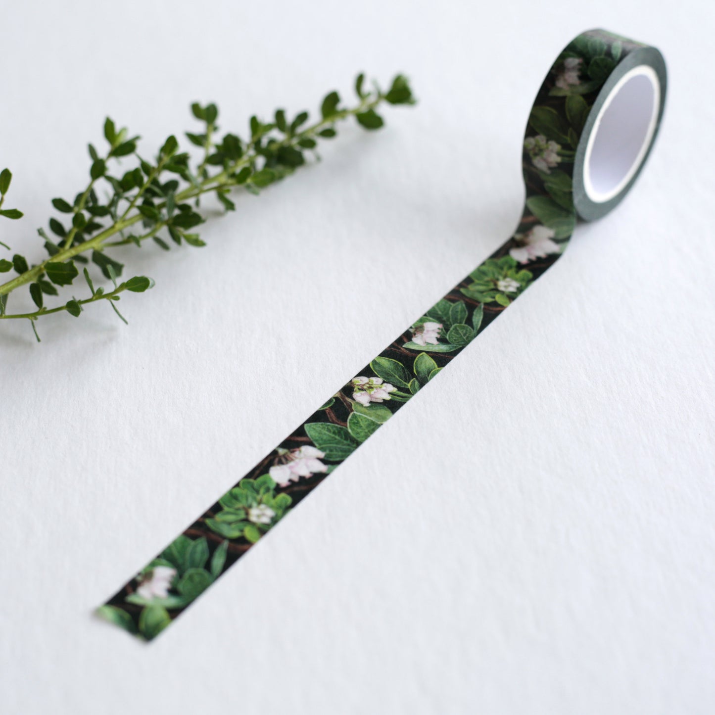 Manzanita Washi Tape