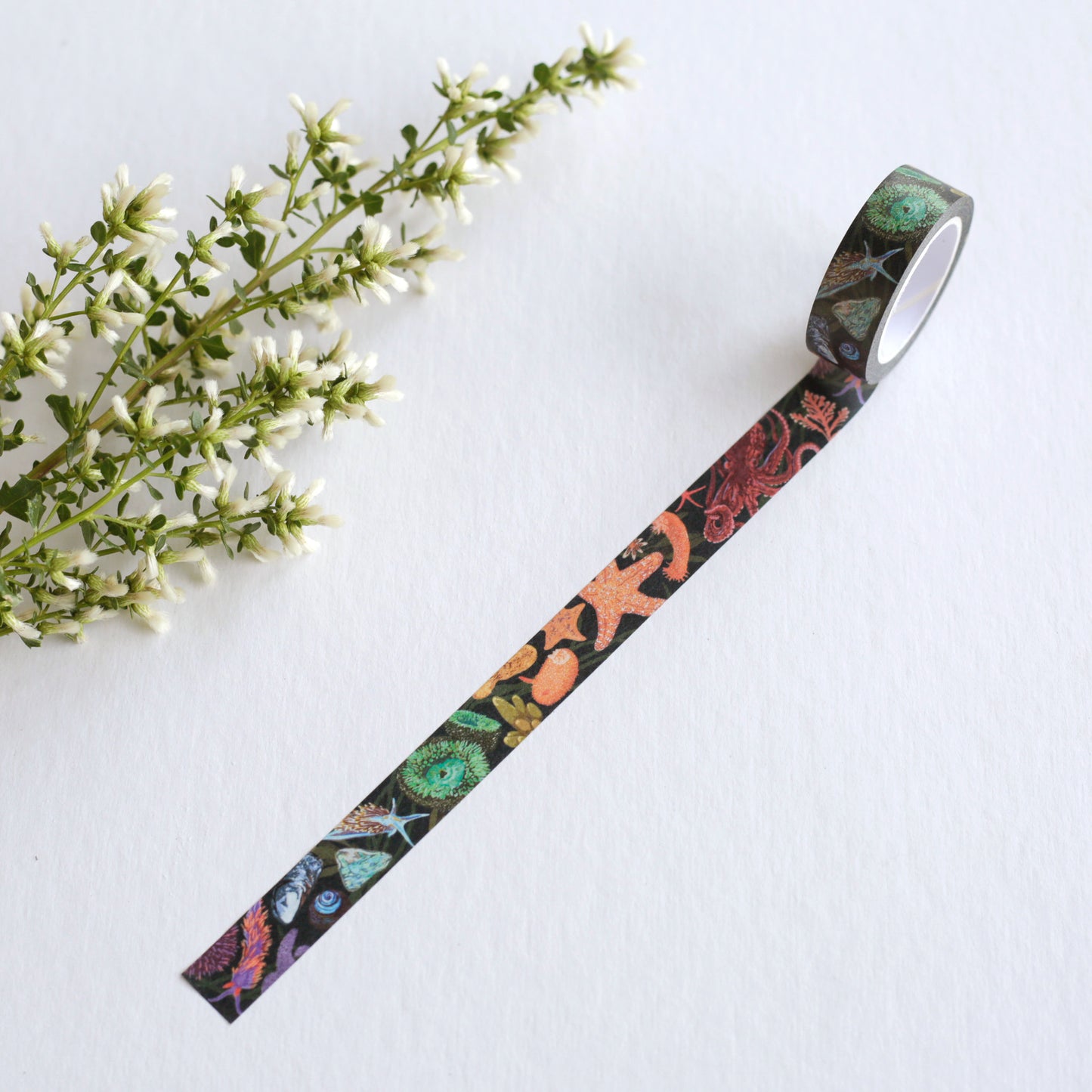 Partially unrolled dark blue tape with various tide pool creatures printed in rainbow order.