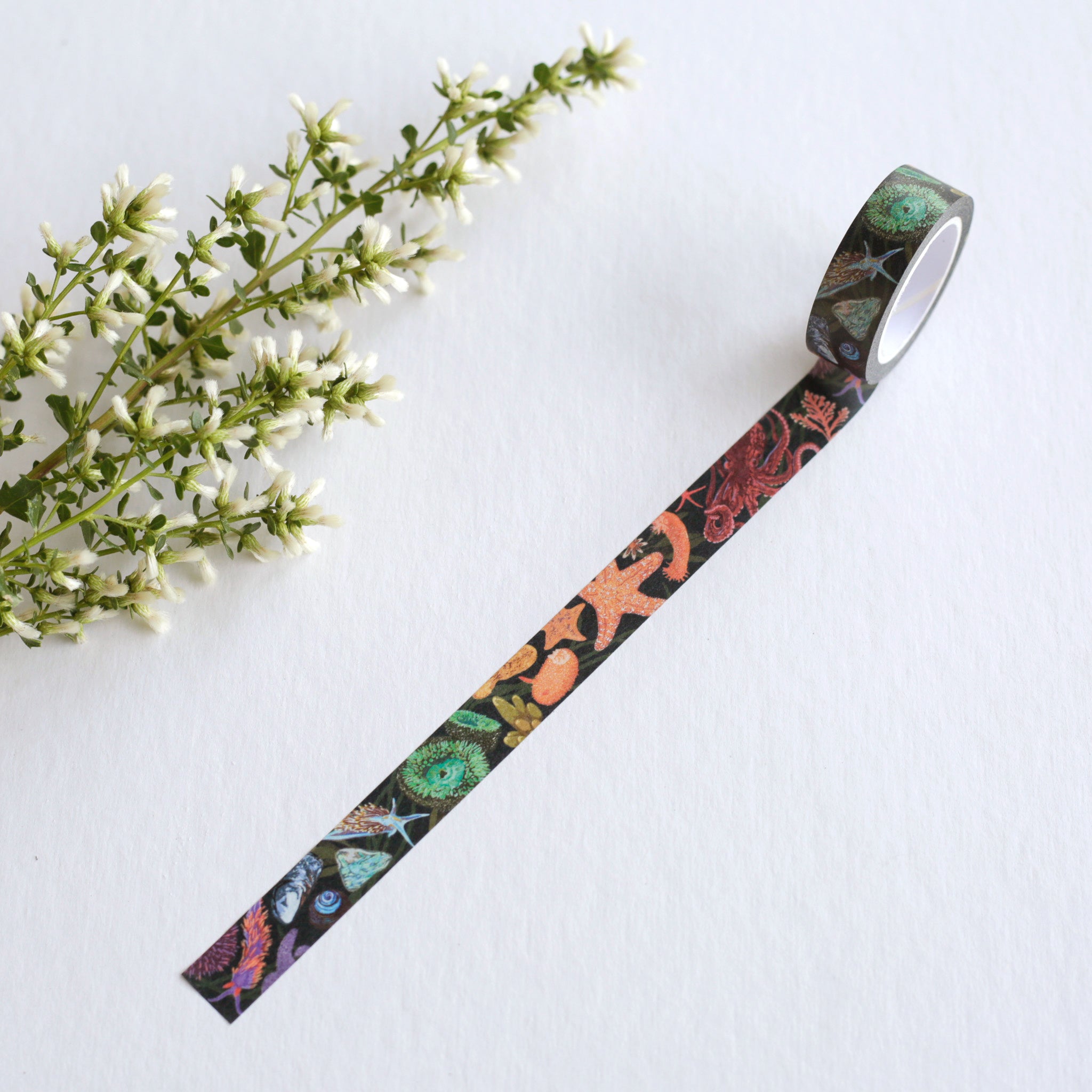 Partially unrolled dark blue tape with various tide pool creatures printed in rainbow order.