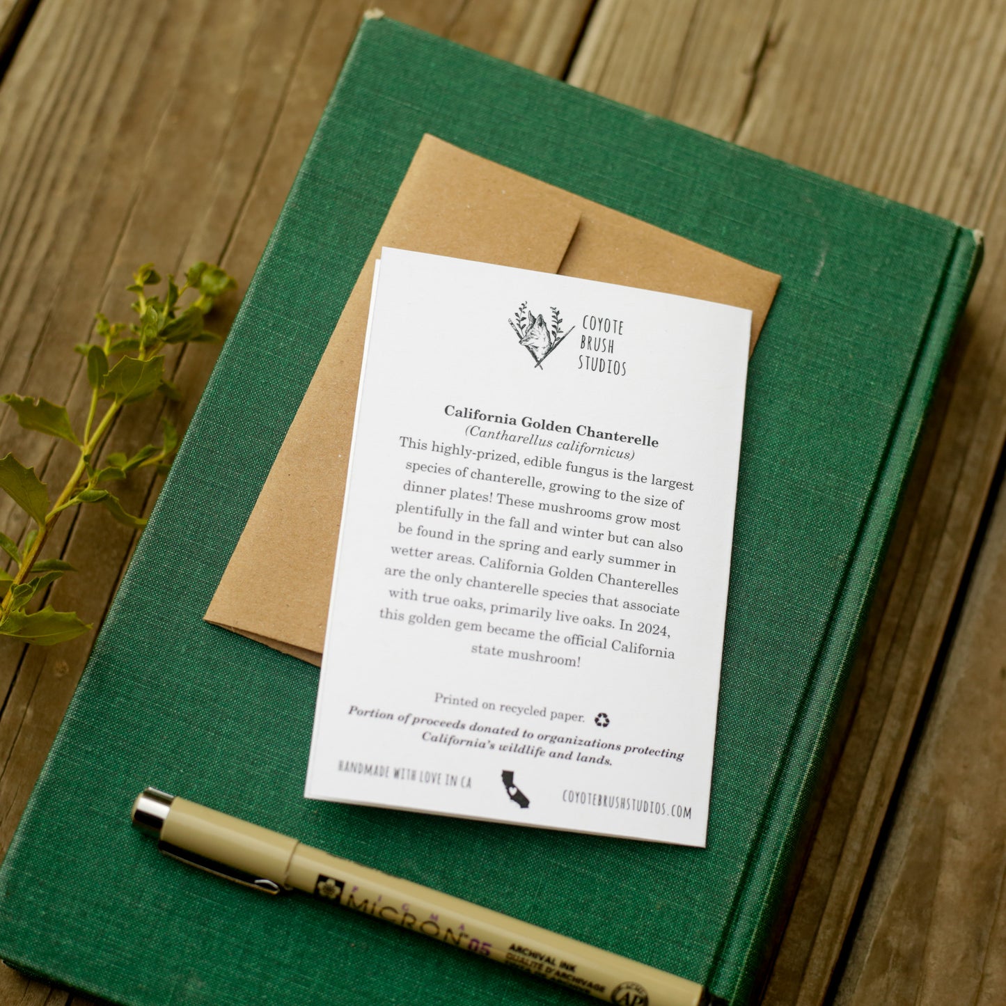You're Golden - Chanterelle Mushroom Congratulations Card