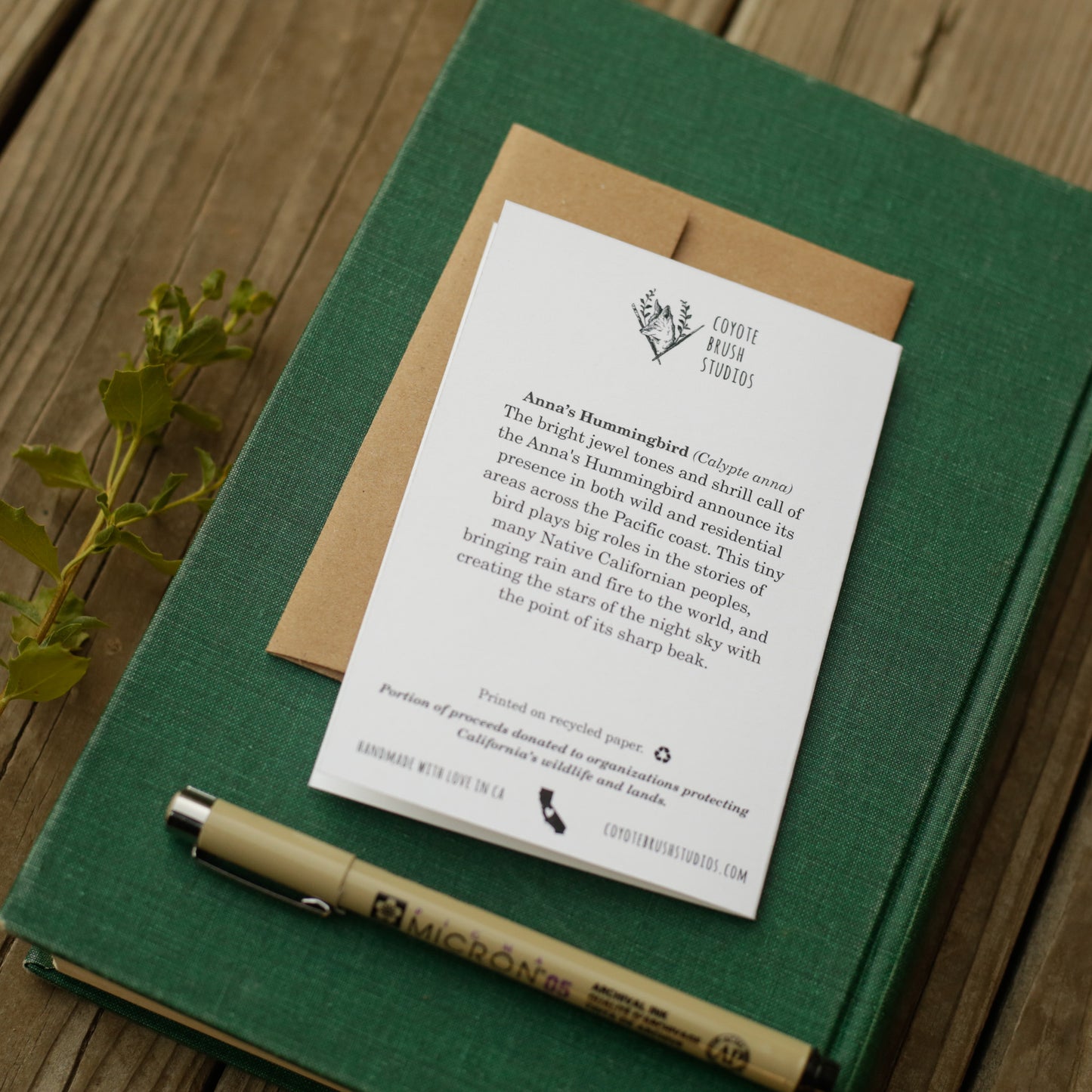 You Make my Heart Hum - Anna's Hummingbird Love Card
