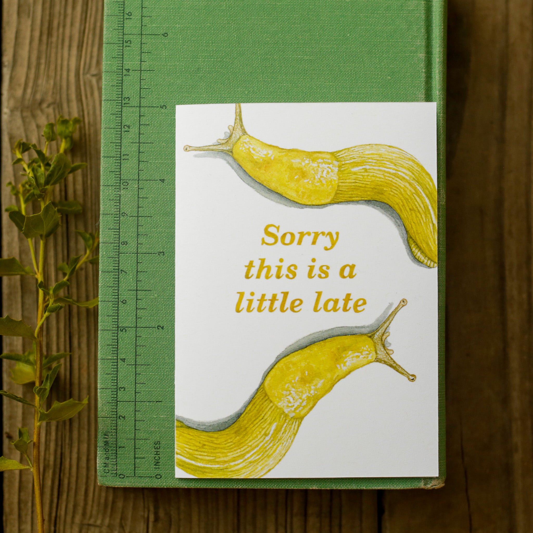 Sorry This Is A Little Late - Banana Slug Belated Card