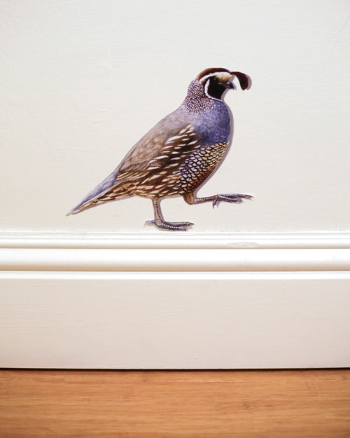 Load image 1 in gallery view. California Quail Wall Decal