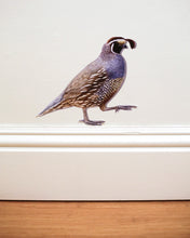 California Quail Wall Decal