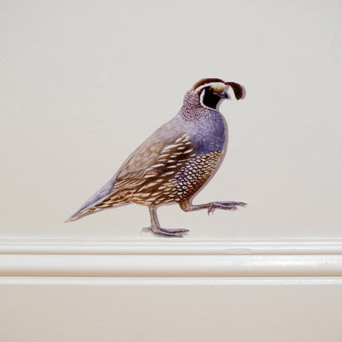 Load image 1 in gallery view. Realistic California quail against white wall standing on top of the baseboard.