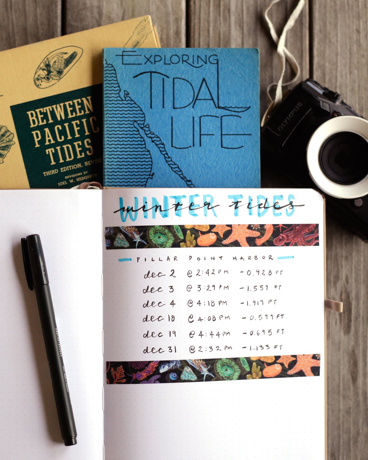 Two rows of tide pool tape bordering winter tide times in journal.