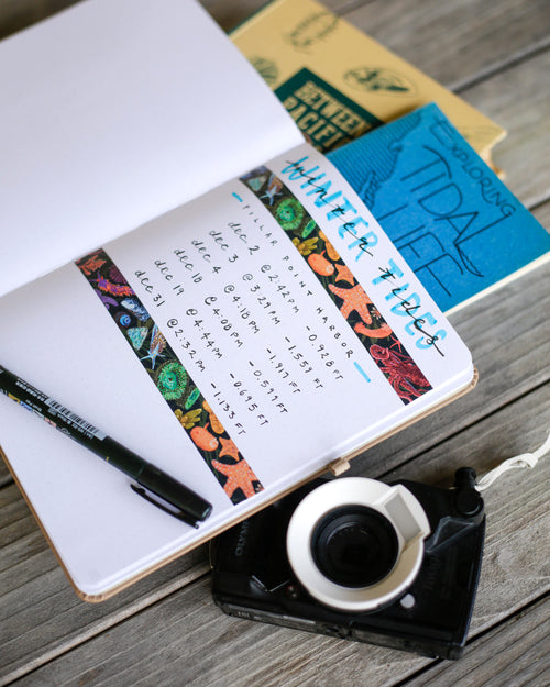Load image 1 in gallery view. Tide Pool Washi Tape