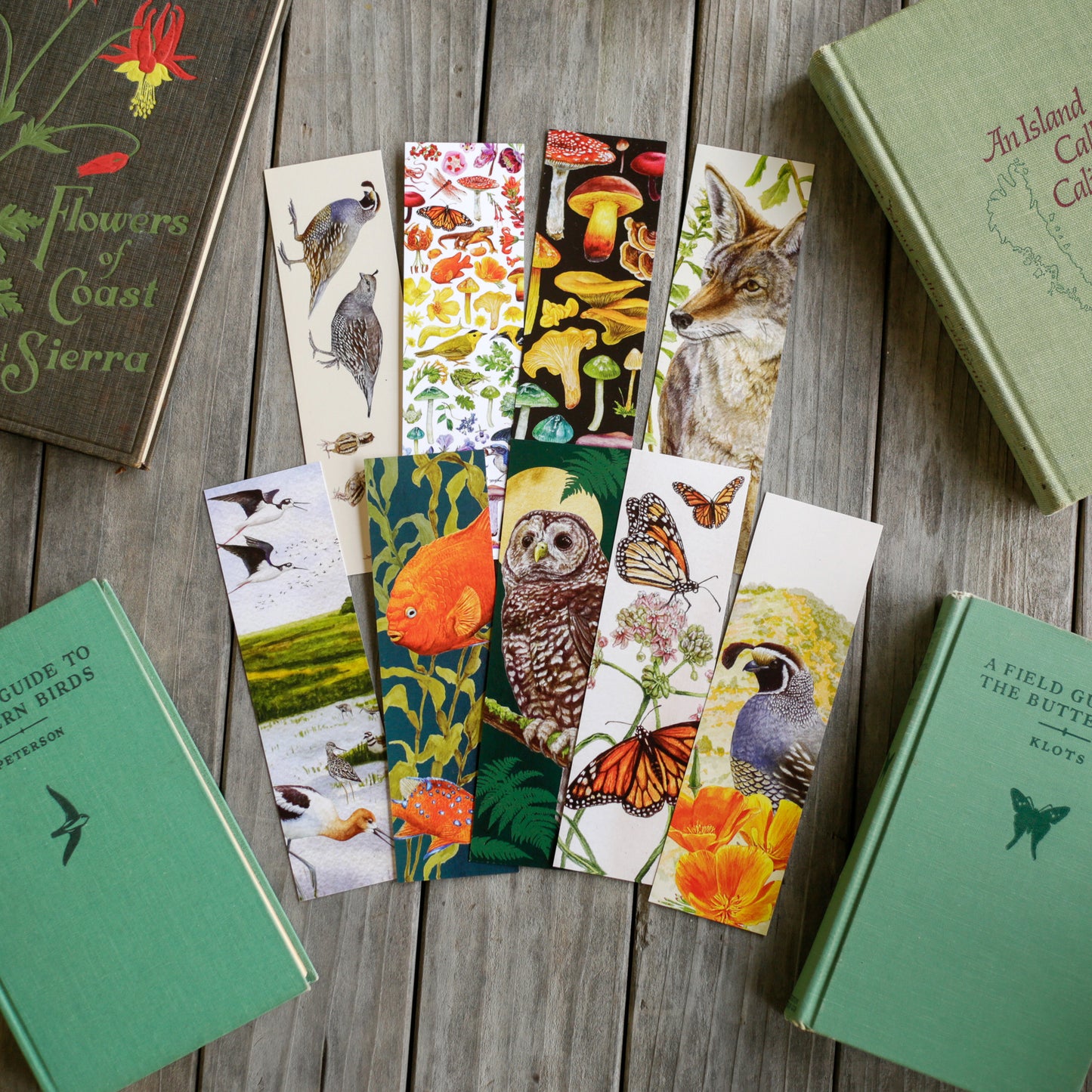 Collection of nine bookmarks in a fan pattern.