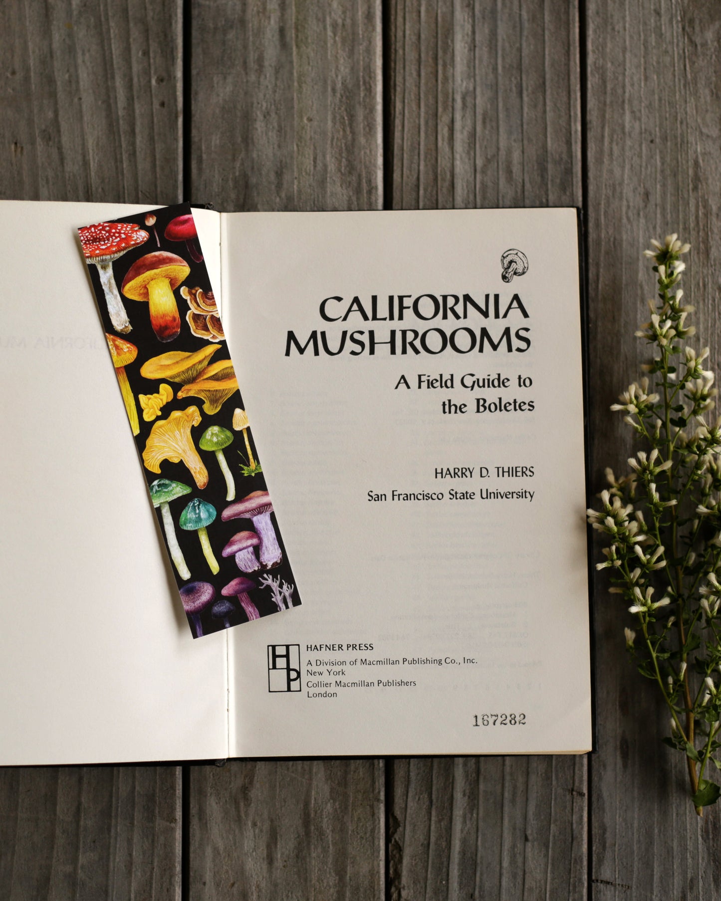 Black bookmark with California mushrooms arranged in rainbow colors