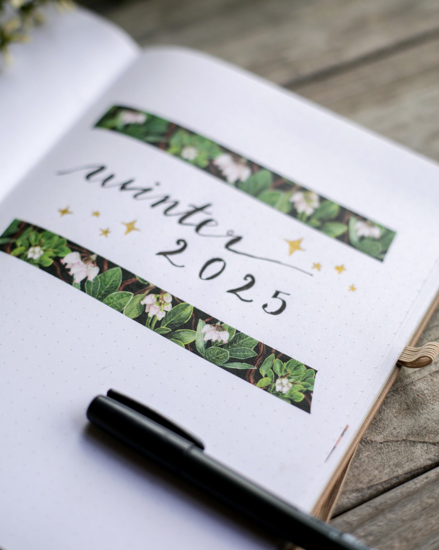 Two strips of manzanita washi tape surrounding a journal header. 