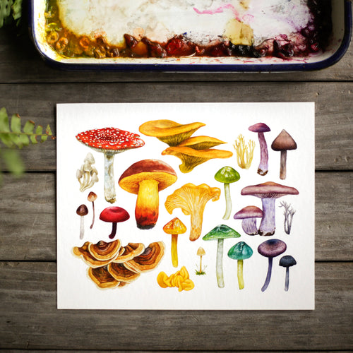 Load image 1 in gallery view. California Mushrooms 8x10 Print