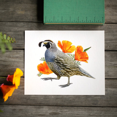 Load image 1 in gallery view. Poppy and Quail 8x10 Print